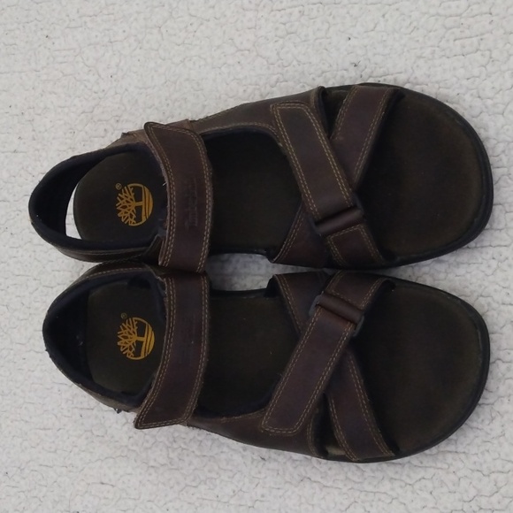 Timberland Dark Brown Leather & Synthetic Breakwater Hiking/Walking Sandals  10M main image 9